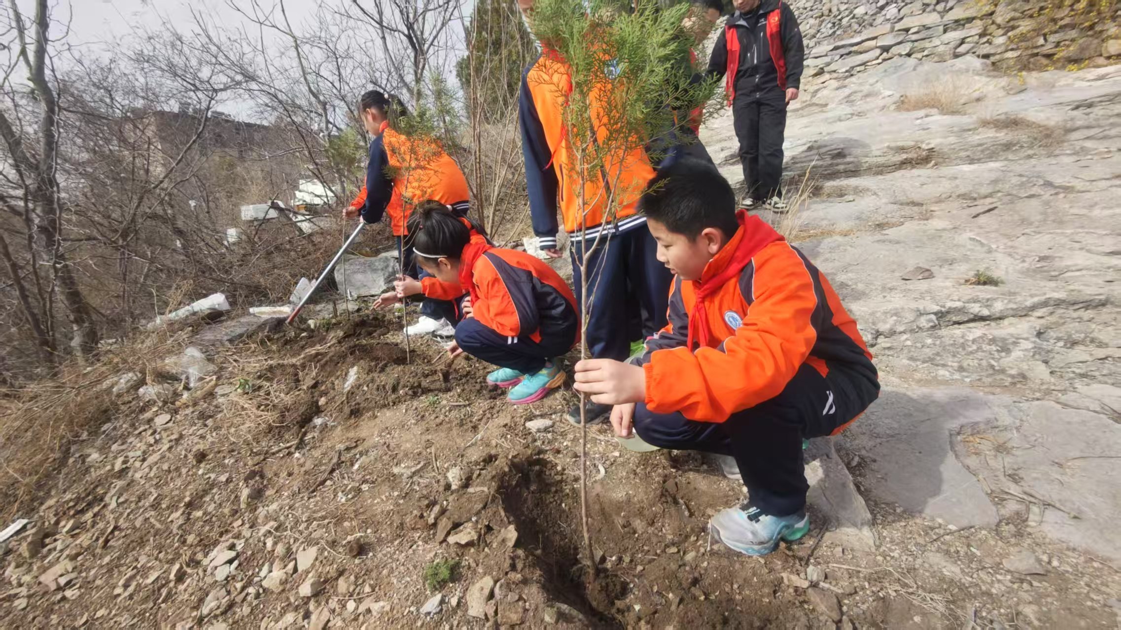 真人电子游艺平台