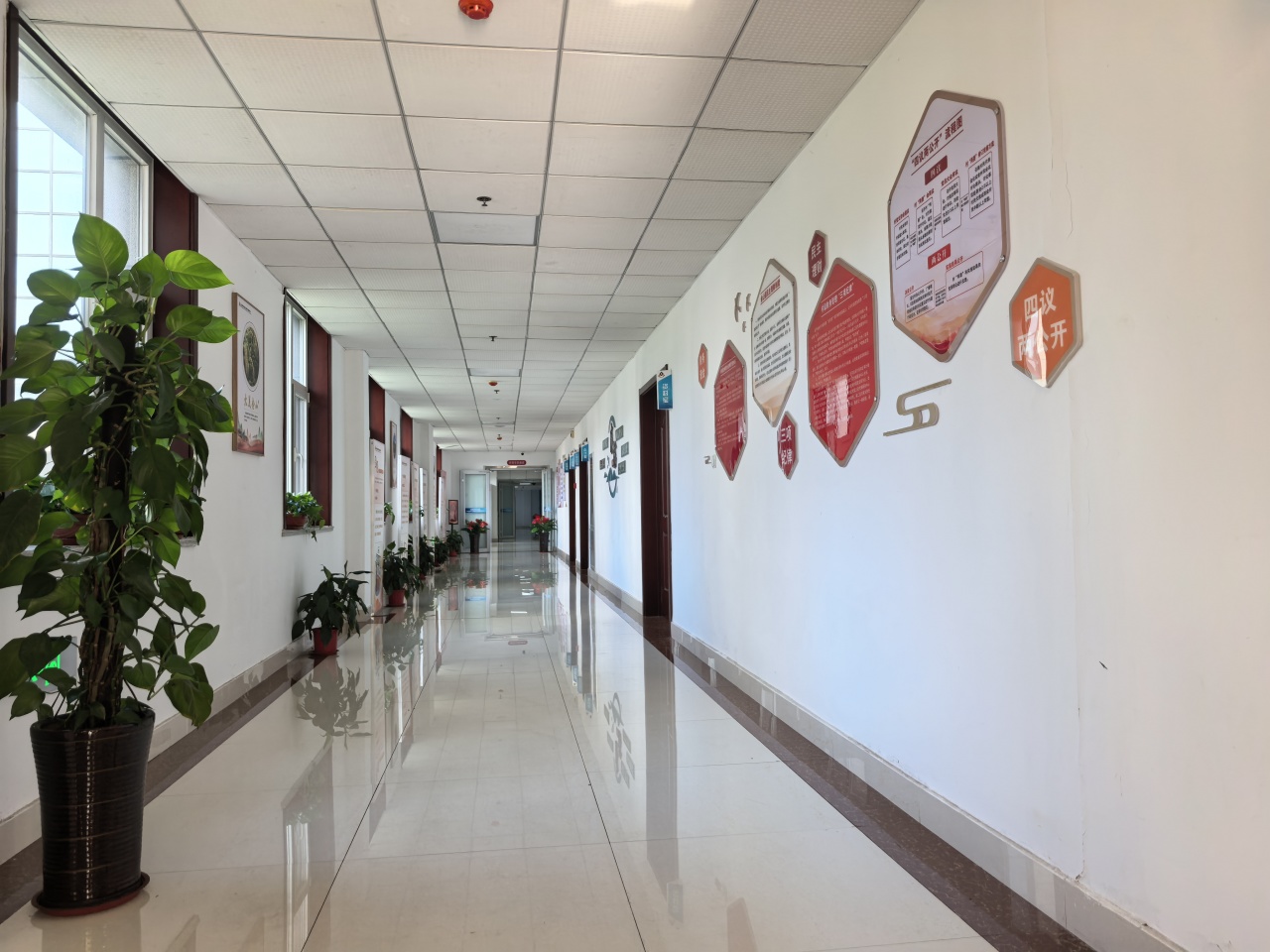 真人电子游艺平台