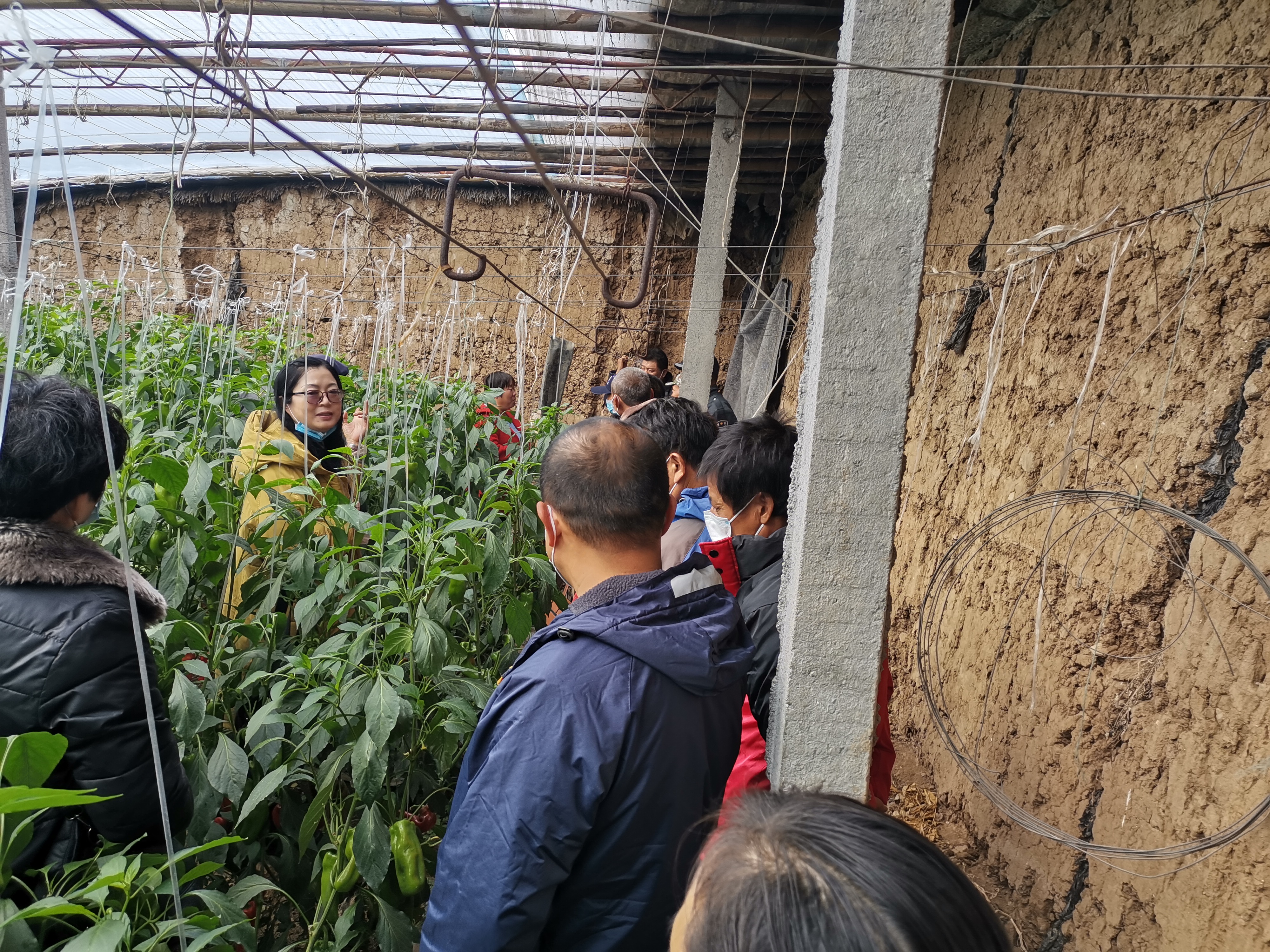 真人电子游艺平台