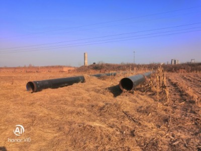 真人电子游艺平台