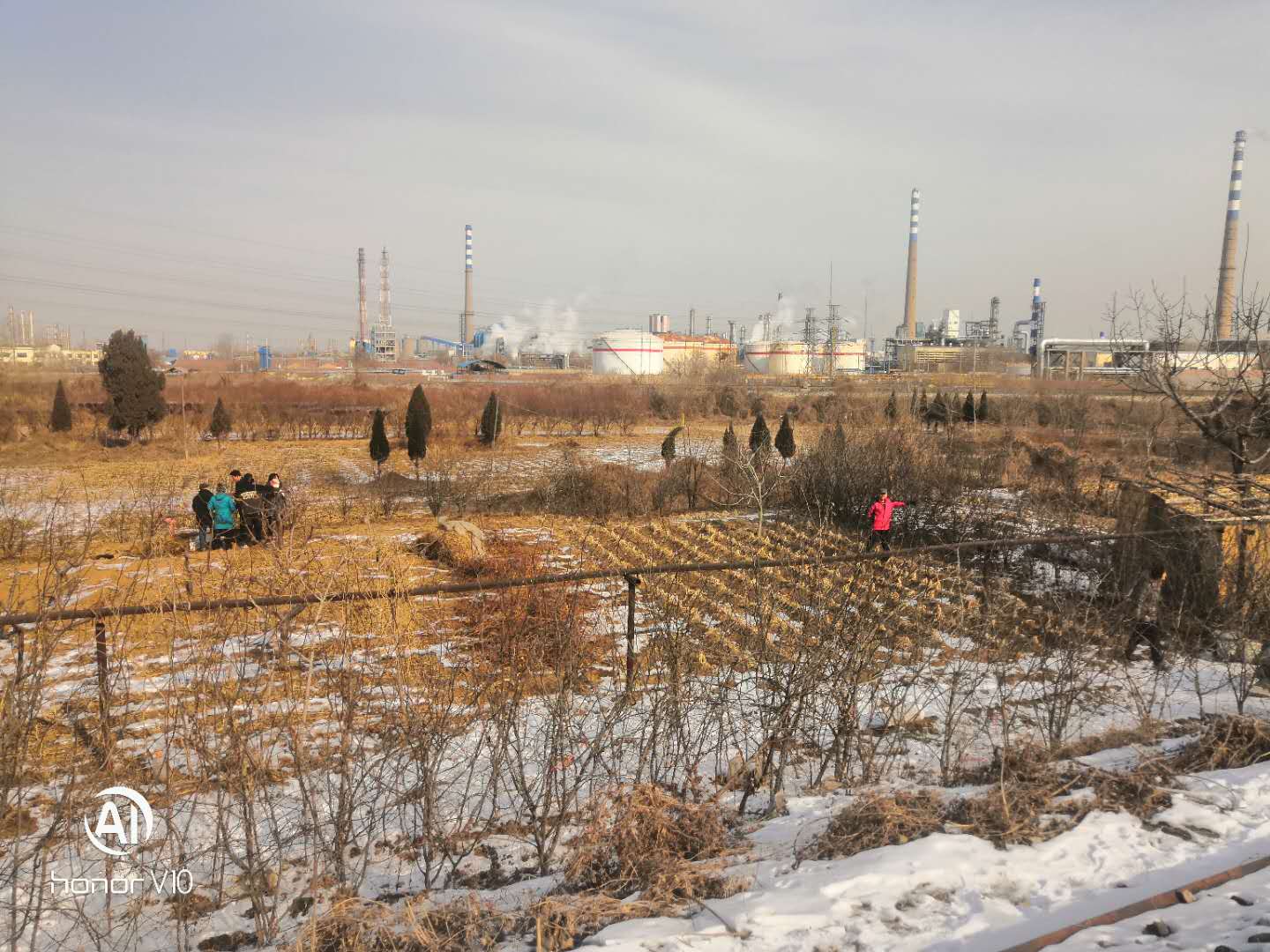 真人电子游艺平台