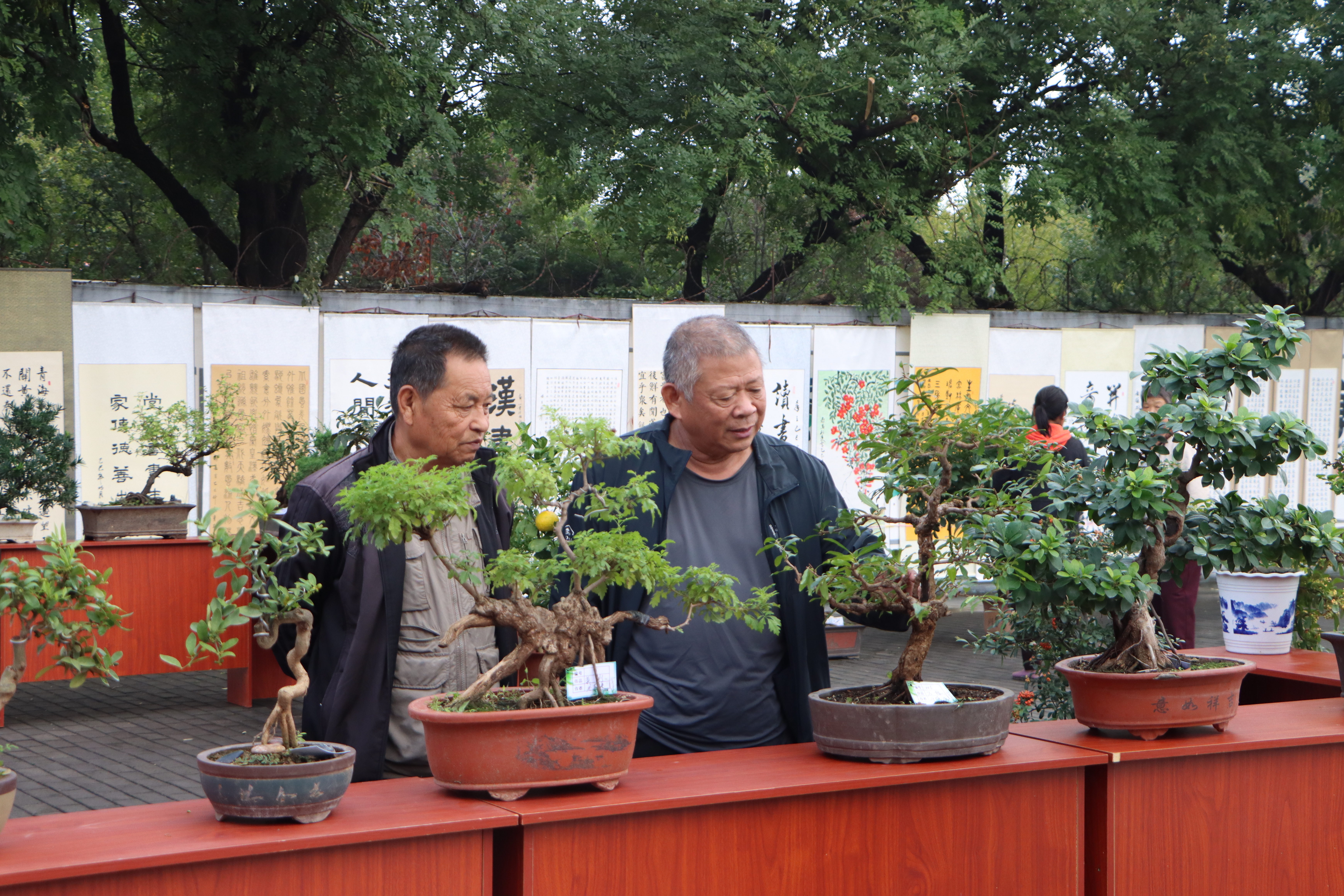 真人电子游艺平台