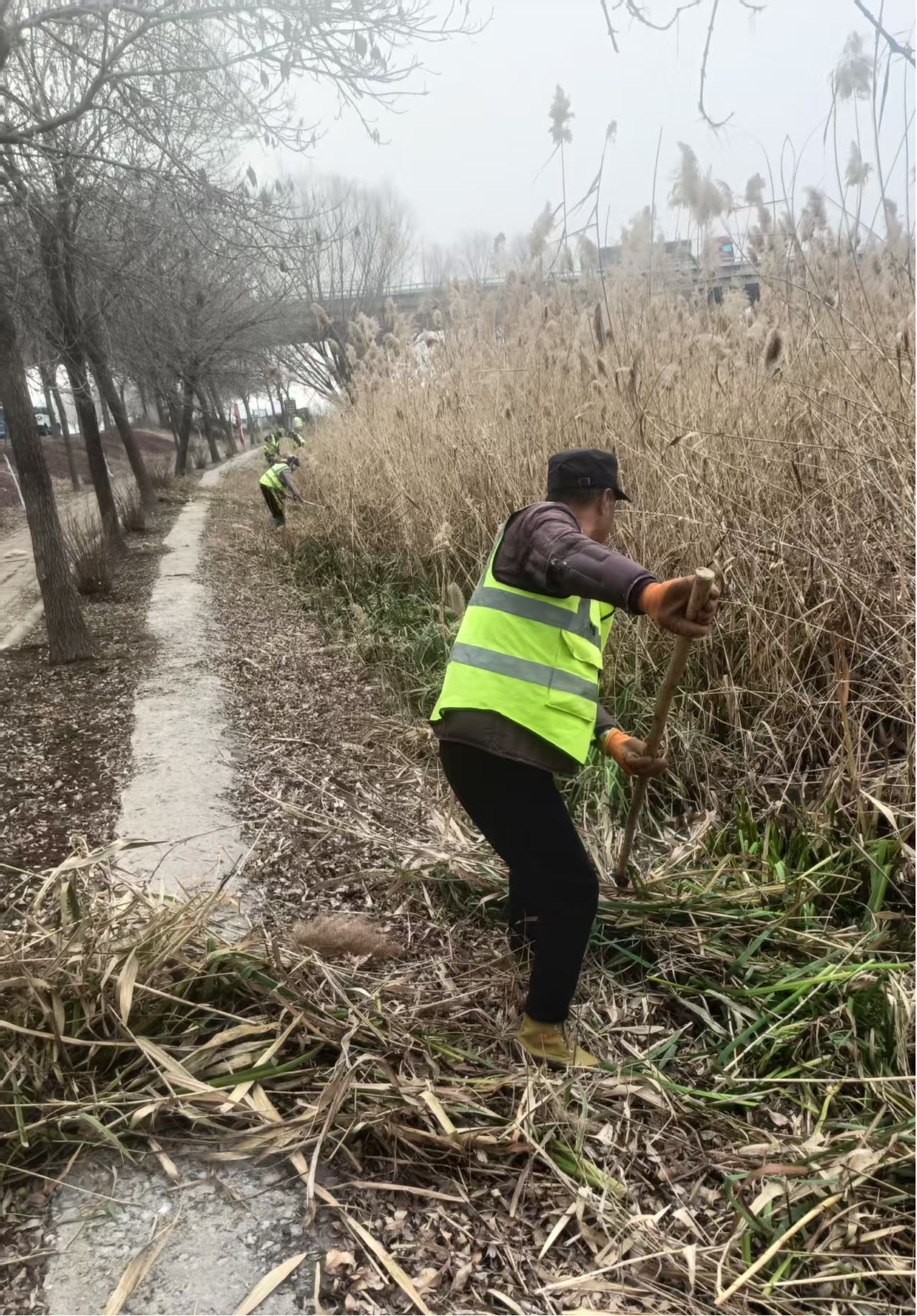 真人电子游艺平台