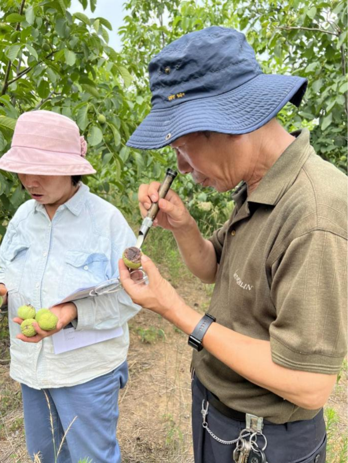 真人电子游艺平台