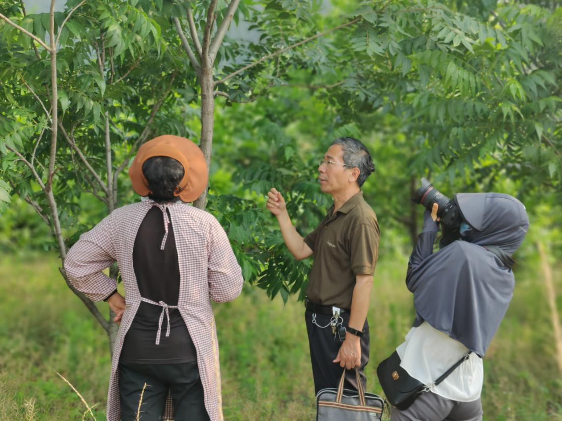 真人电子游艺平台